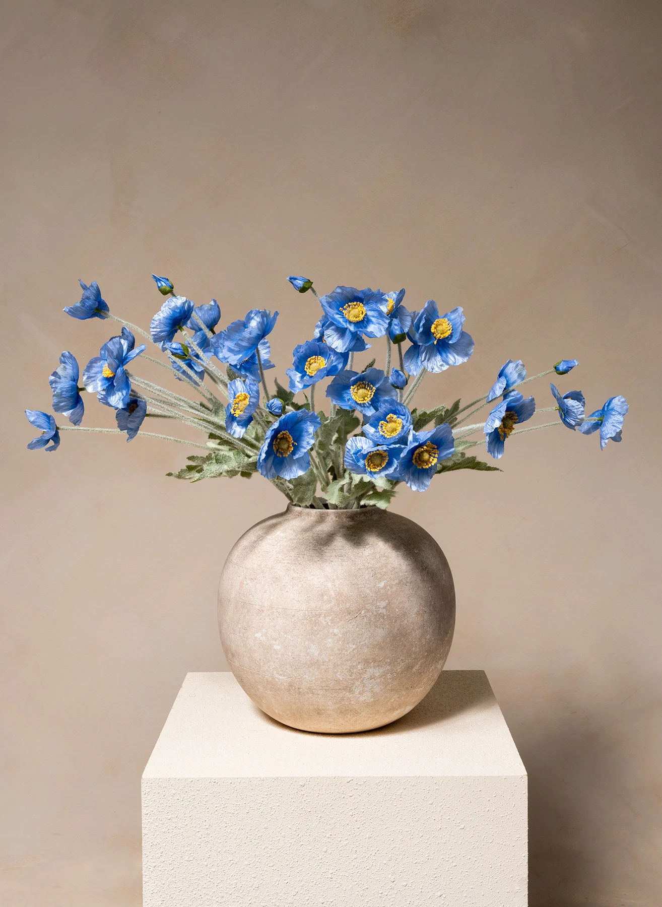 Miniatuur 1