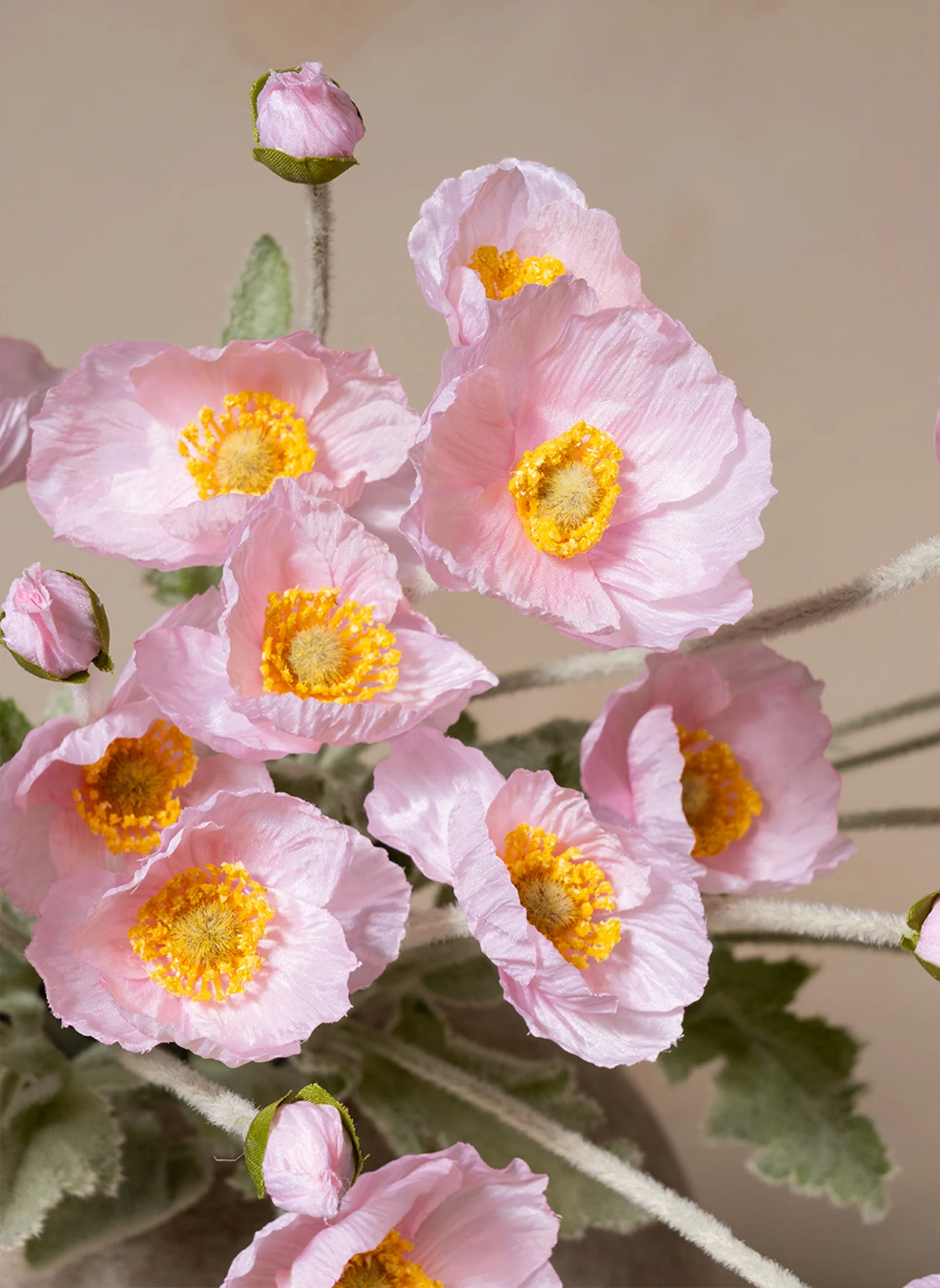 Miniatuur 2